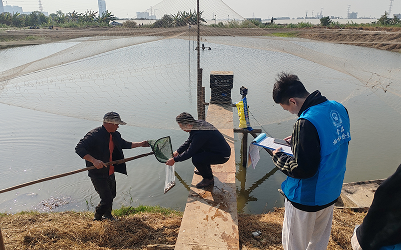 节前保安全！我市开展水产品重点品种抽检工作