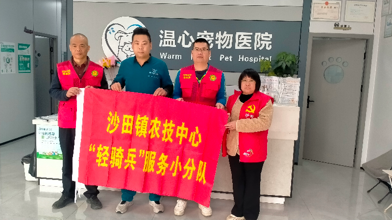 沙田镇开展动物诊疗现场指导服务活动