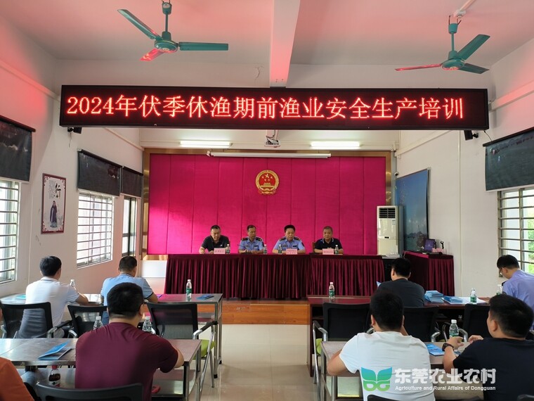 东莞全力开展海洋伏季休渔启动前执法监管工作