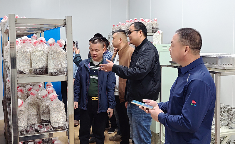 市农科中心开展食用菌栽培技术现场交流活动