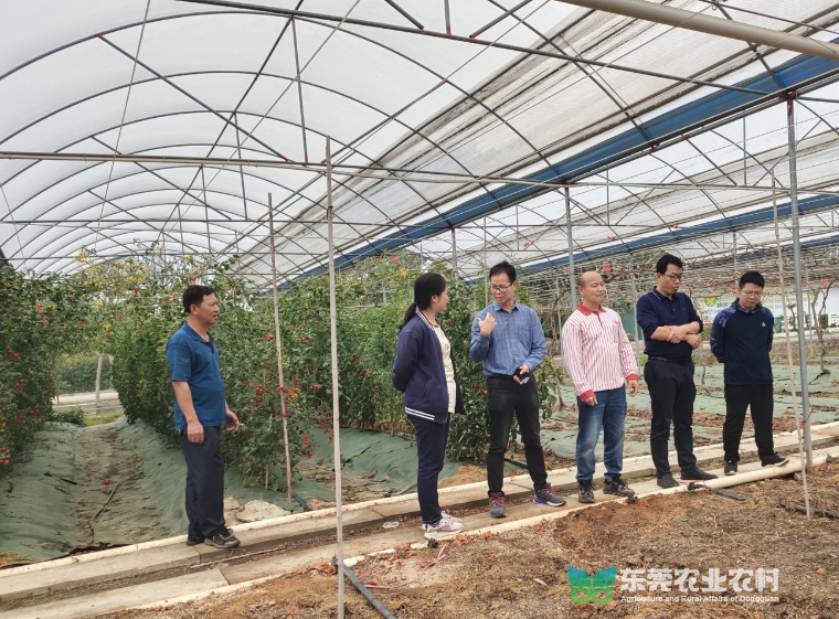 农科“轻骑兵”上门送种，全力助推春耕生产