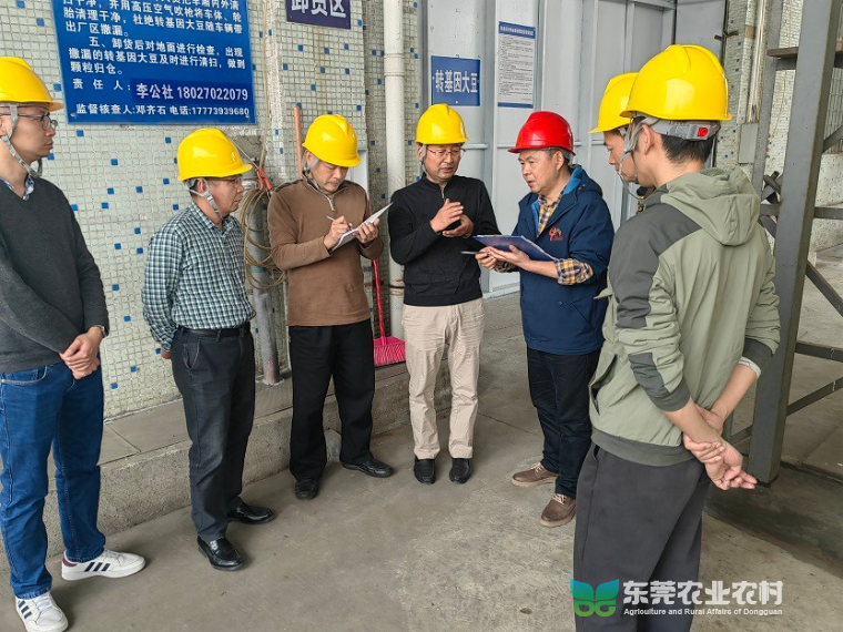 省专家组赴望牛墩开展农业转基因生物加工许可证现场评审