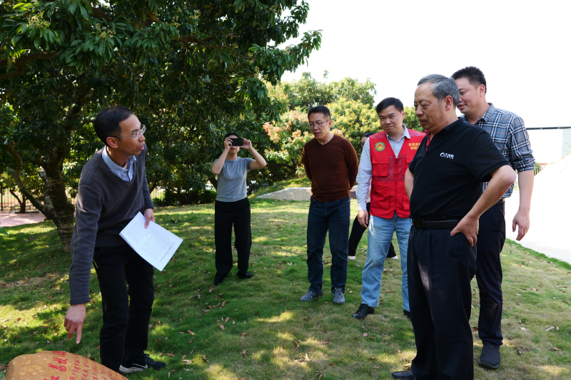 锚定“百千万工程”，为东莞荔枝“金字招牌”再添亮色