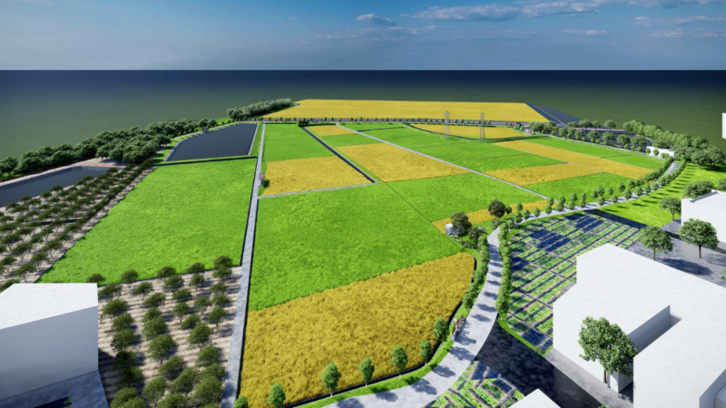 隔坑上车岗村全力打造美丽田园风景线