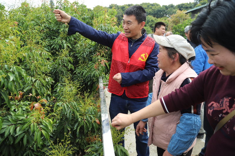 农业科技特派员（轻骑兵）下村传经送宝 助力“谢岗荔枝”焕发新活力