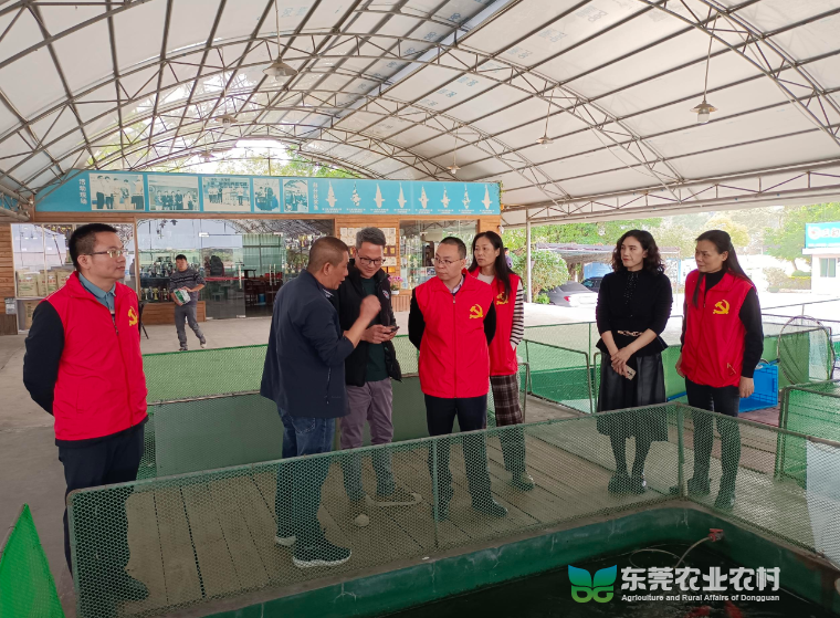 市疫控中心技术下乡，为乡村振兴添“智”赋能