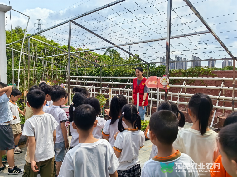 东坑农业科普活动“入校”，开启知识之旅