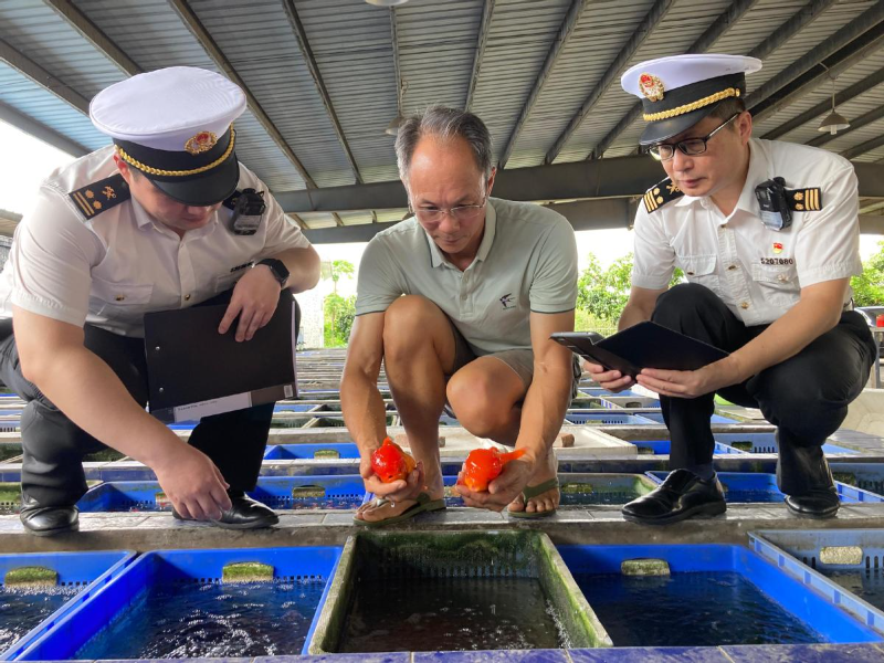 1-7月观赏鱼出口同比增长12.6%！莞产小金鱼“游”出大市场