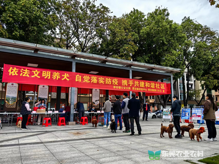 厚街2024年春季动物疫病集中防控工作全面开启