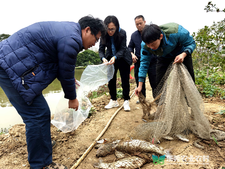 市镇联动开展水产品质量安全风险监测行动
