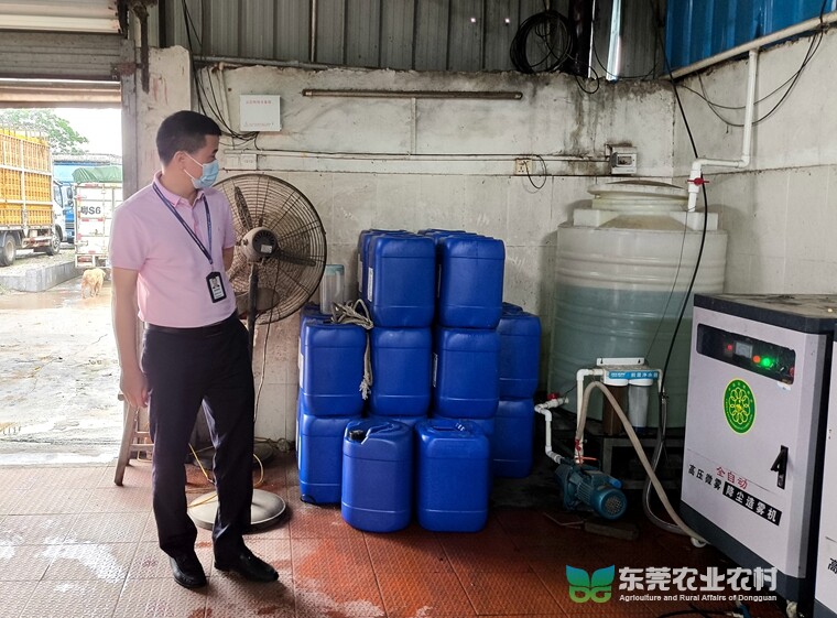 市农业农村局开展节前道滘三鸟交易市场督导检查