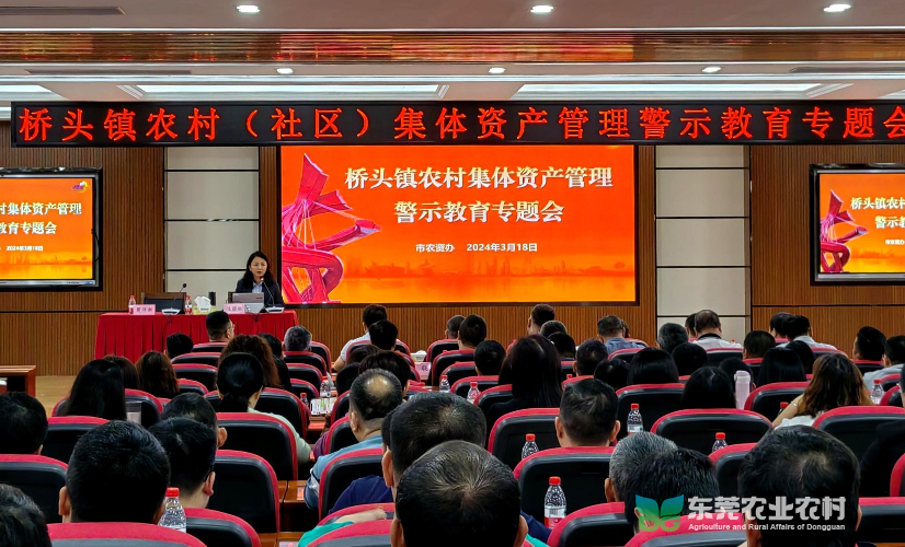 市农资办“乡村讲堂”开讲桥头，强化警示教育成果