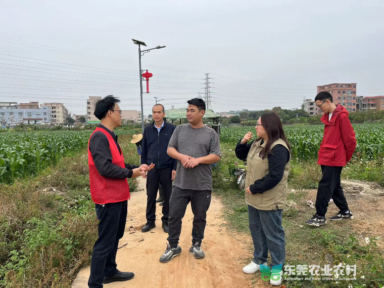 市农技“轻骑兵”下乡助力横沥镇春耕生产