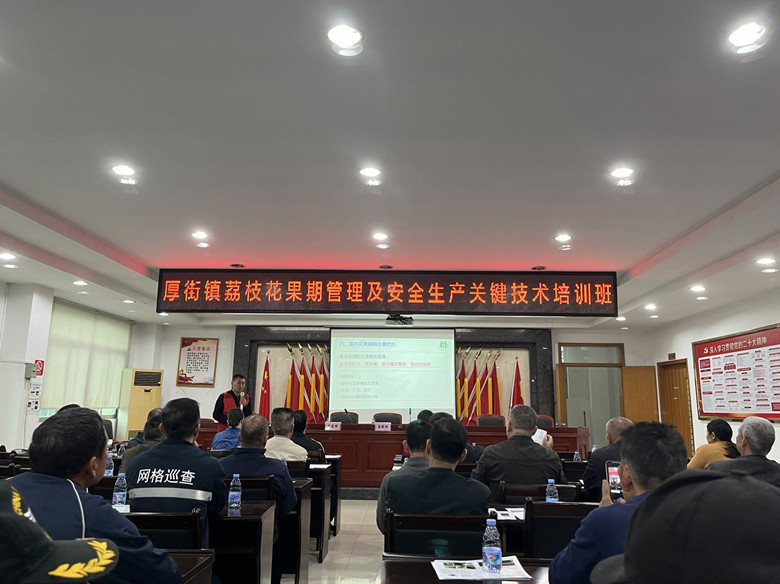 市镇两级农业科技特派员共同护航厚街高品荔枝发展
