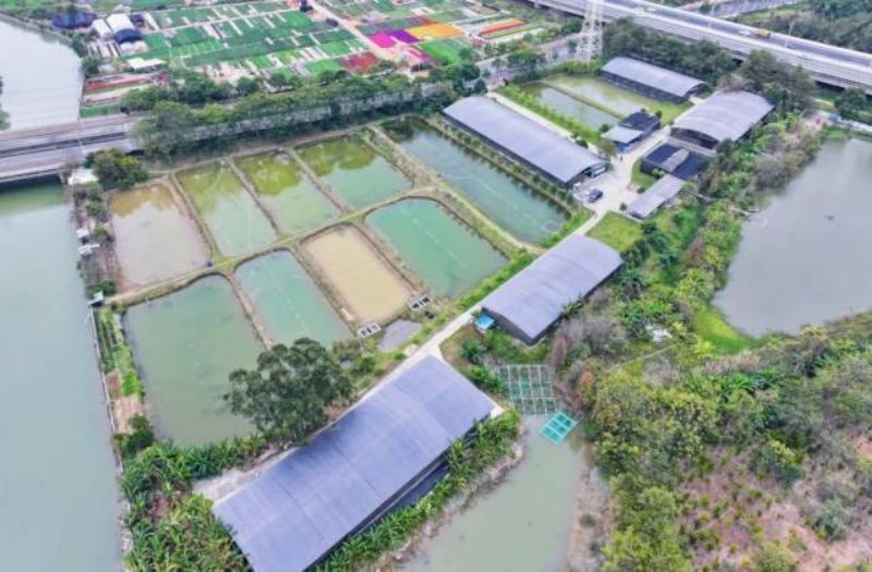 万江白水涡：从农田到工业区的华丽转身与前世今生