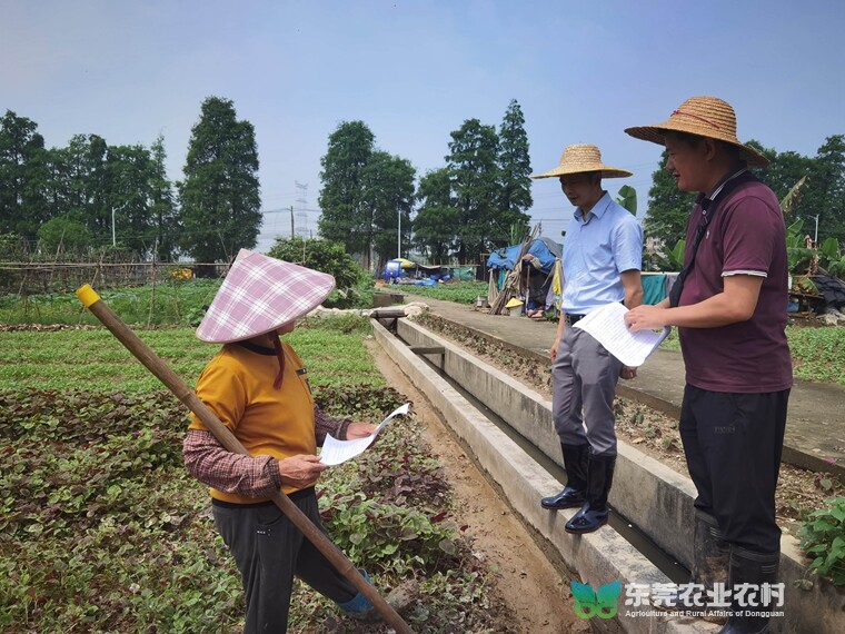 道滘雨后迅速推进复产技术指导工作