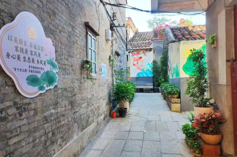 常平桥梓村多措并举，奋力打造乡村振兴新样板