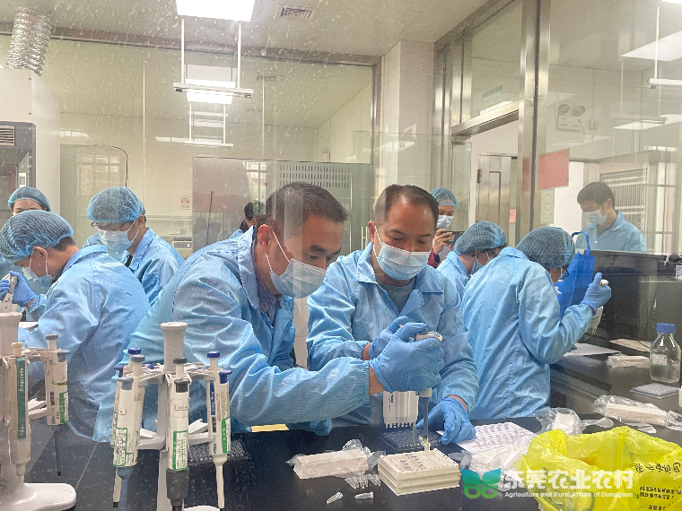 东莞市动物疫病采样检测技术“培训直通车”开进大朗，完成第四站行程