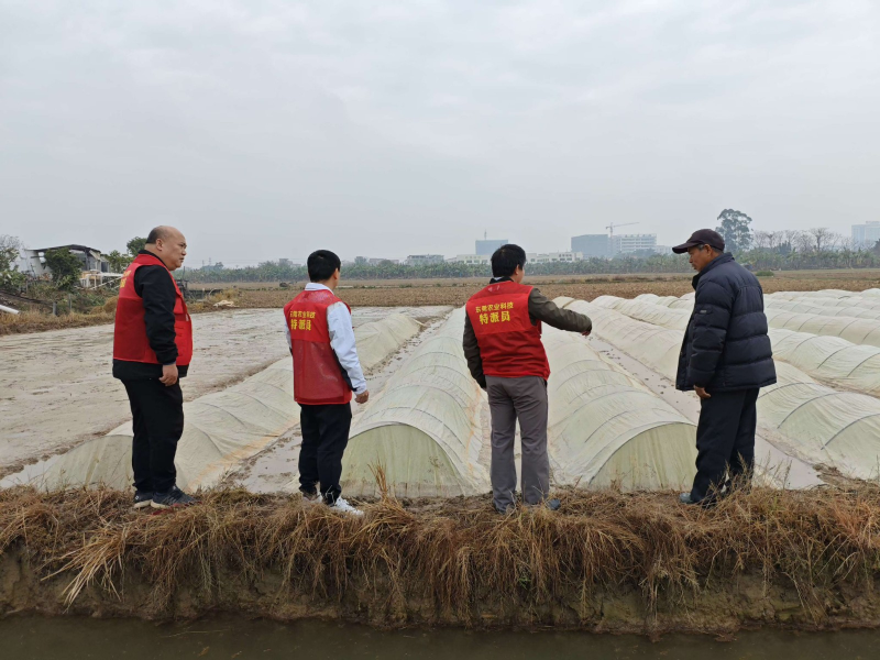 望牛墩：科技赋能春耕 助力乡村振兴