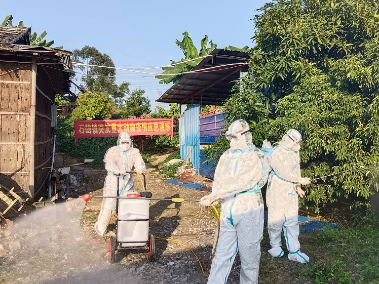 石碣开展2024年突发重大动物疫情应急演练