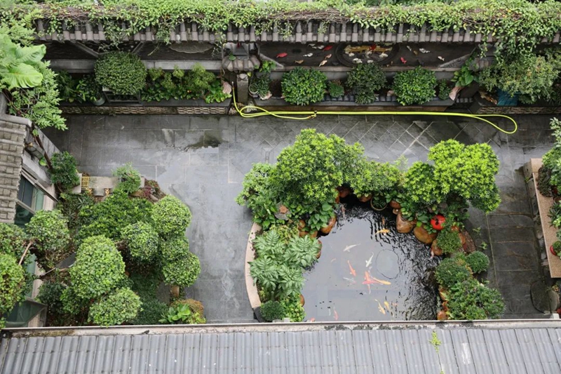 一眼沦陷！“厚街庭院”美到失语