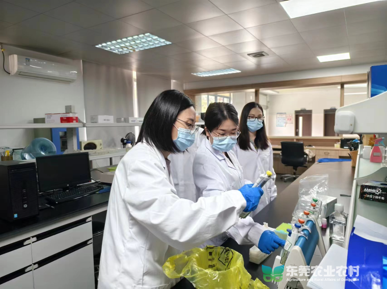 长安农技中心兽医实验室成功通过县级兽医实验室考核