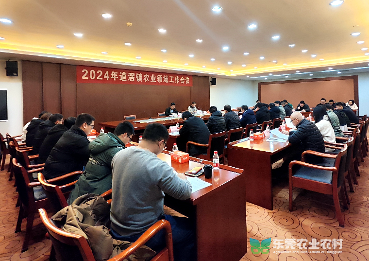 道滘镇聚焦农业领域工作召开专题会议