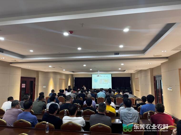 万江开展2024年首期官方兽医与签约兽医培训班