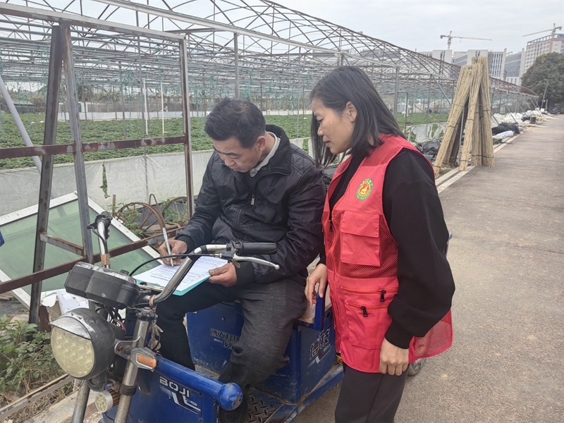 洪梅：农业科技特派员深入田间地头 助力春耕春种
