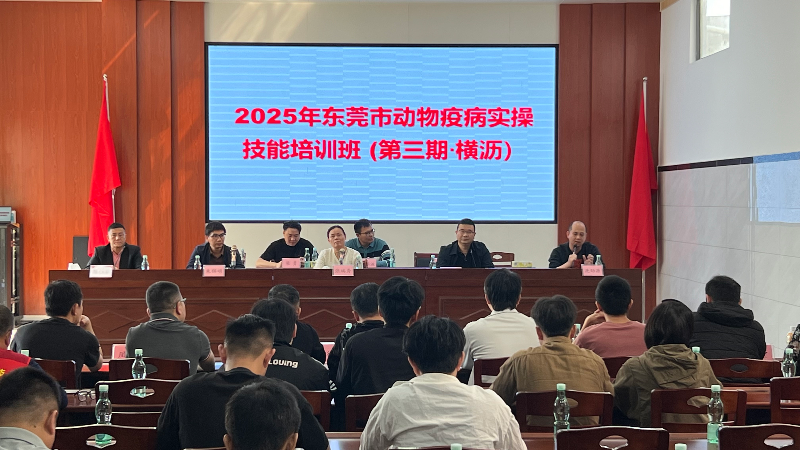 横沥：五百年牛墟变身“防疫课堂”