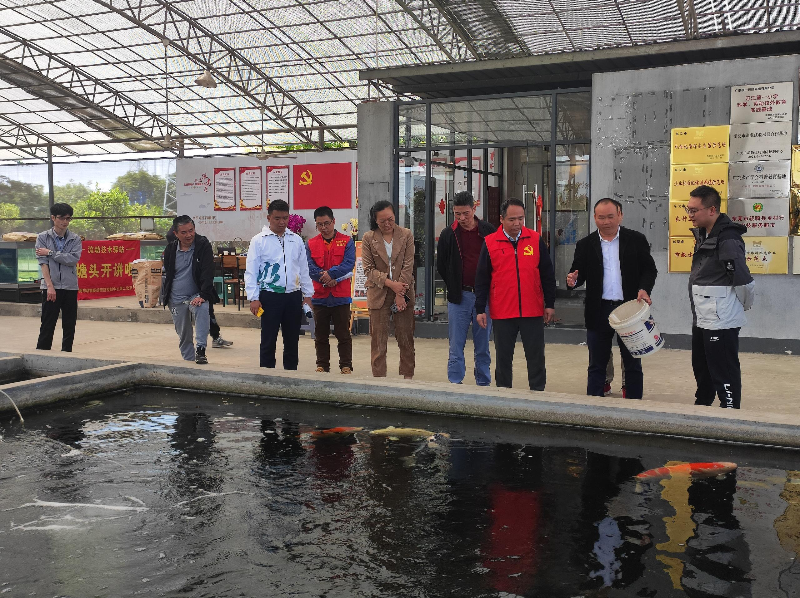 万江举办水产疫病防控技术交流活动，为锦鲤产业发展按下“加速键”