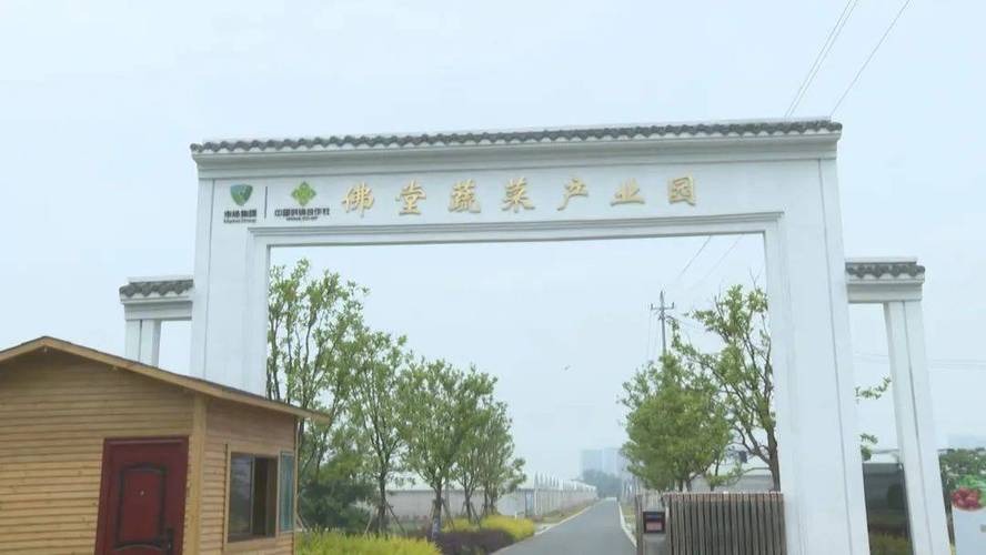 义乌佛堂智慧蔬菜产业园：引领高效农业新潮流