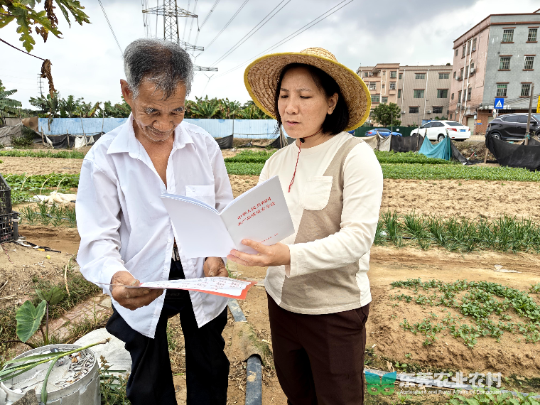 道滘稳步推进农药科学安全使用指导工作