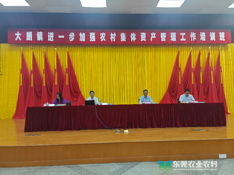 大朗举办农村财务培训，守护村集体“钱袋子”安全