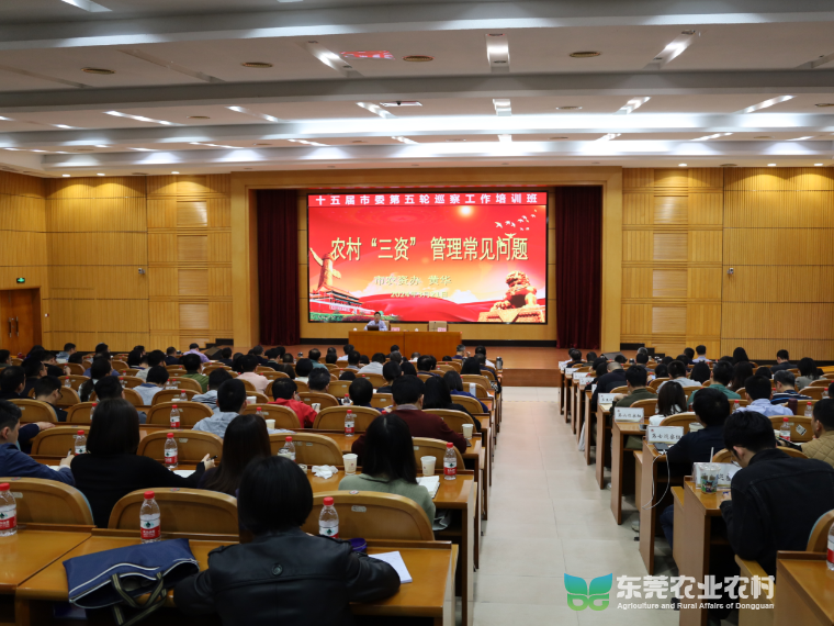 市农资办应邀为巡察干部开展巡前专题授课