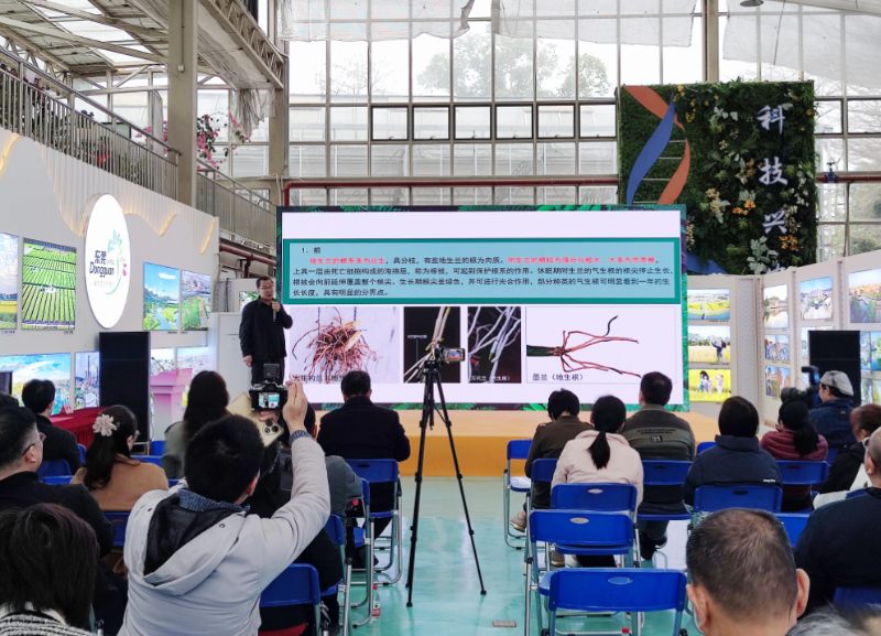 市农科中心开展花卉专题培训