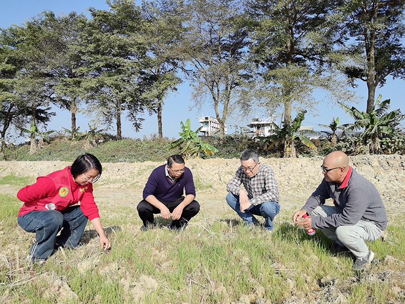 国家体系专家来莞指导冬种绿肥工作