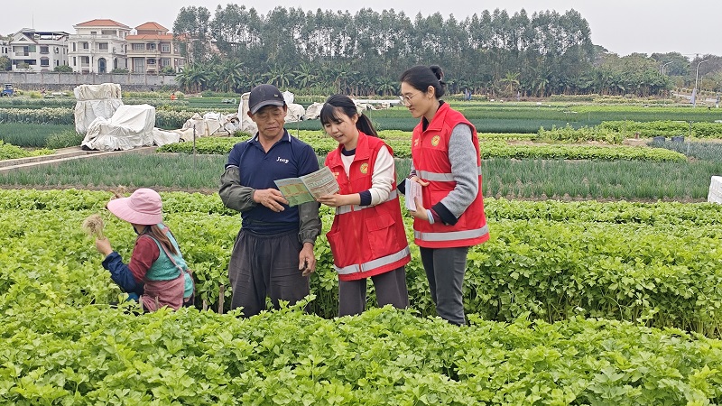石碣：强化农产品质量安全宣传 为春耕生产保驾护航