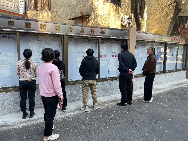 中堂开展农村财务公开和民主监督实地检查工作