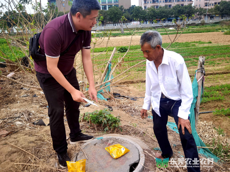 道滘：防控红火蚁，技术与药物双管齐下护农田