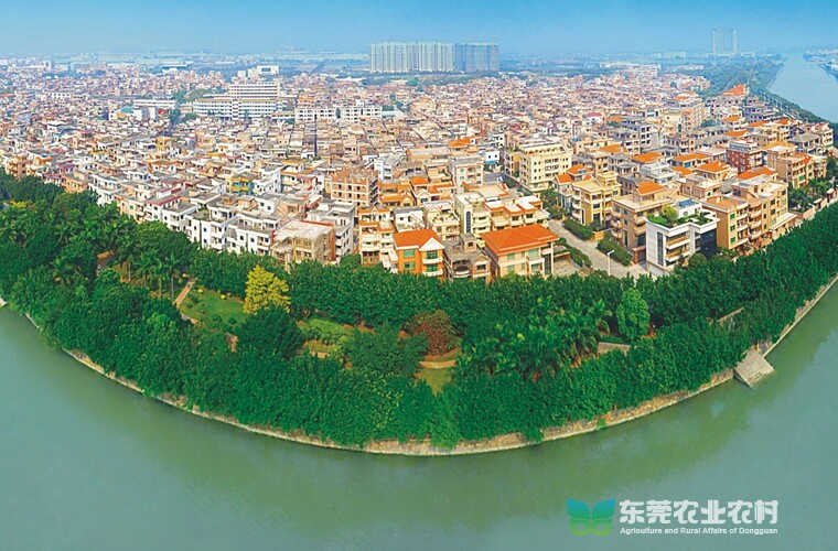 中堂潢涌“四轮驱动”全速奔赴“百亿村”目标