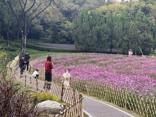 亲爱的“2亿分之一”：莞邑陌上花开迎君归