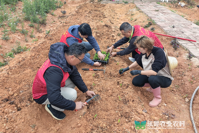 农技“轻骑兵”吹响都市农业园春耕号角