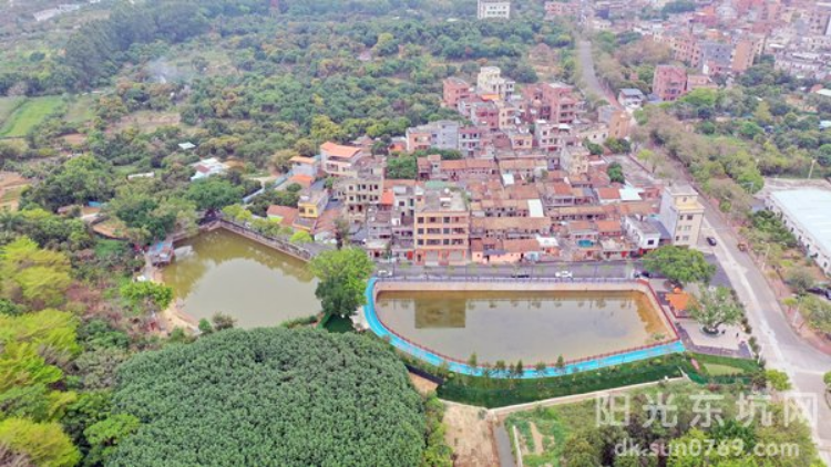 东坑坑美村“华丽蝶变”，绘就和美乡村壮美新景