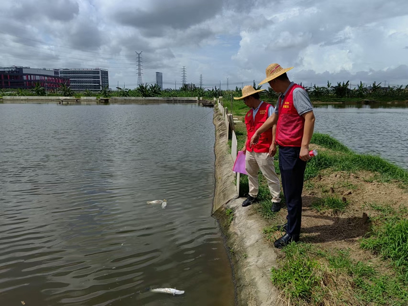 洪梅农技“轻骑兵”：为渔业生产添澎湃动能