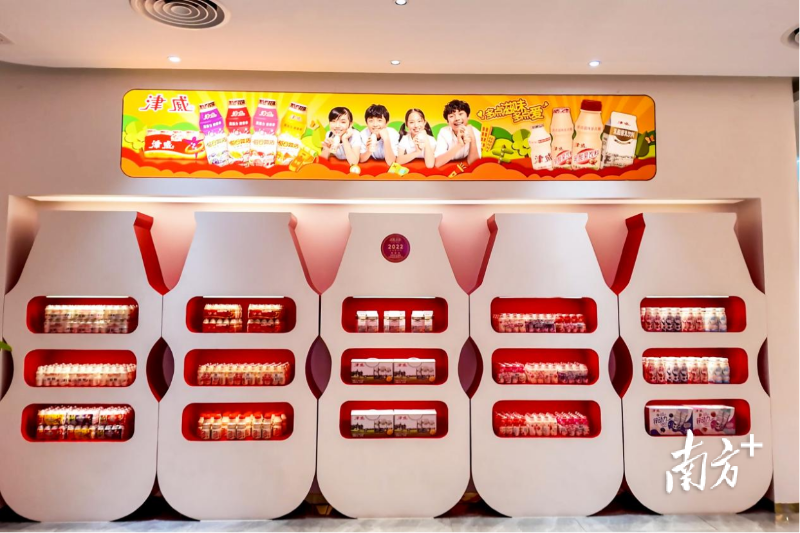“金牌莞味”三博会调研：乳酸菌饮料“扛把子”凭何称霸？