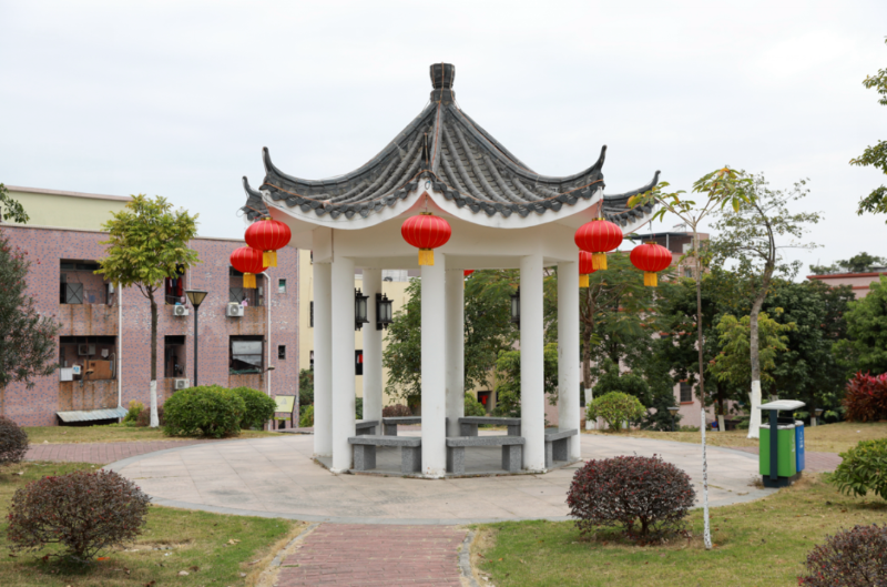 茶山这条村又变靓了！