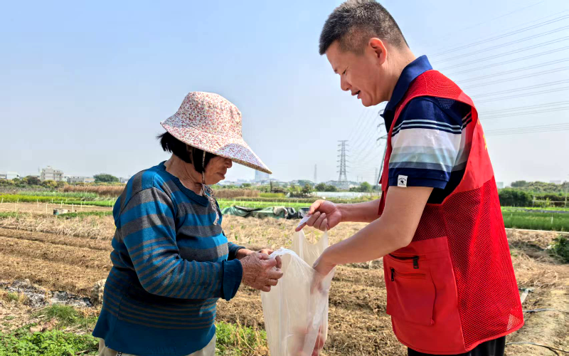 市镇携手开展农产品质量安全例行监测