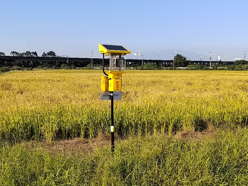 石排：推进农药减量行动，践行“无废城市”理念