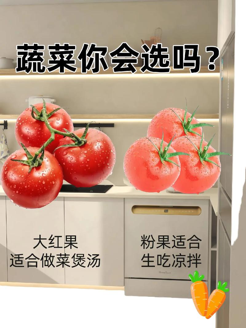蔬菜挑选秘籍大公开
